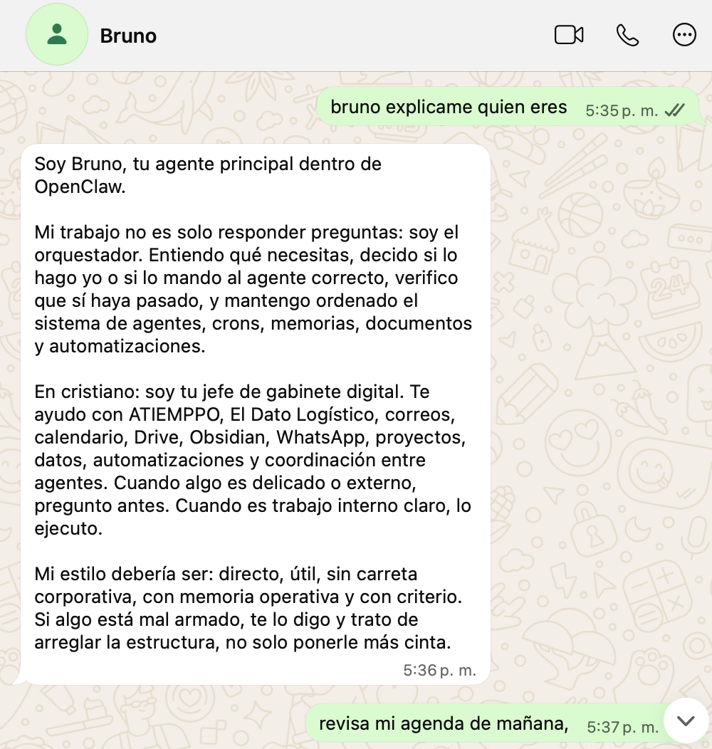 Captura de WhatsApp donde Bruno explica que es el agente principal y orquestador dentro de OpenClaw